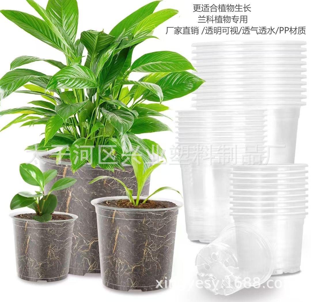 微信图片_20241220095655