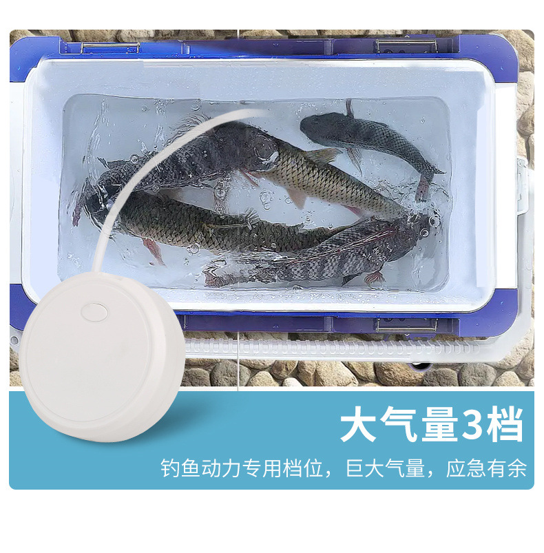 8589f345-ce40-4cde-91af-5cbdbdf0e83a.jpe