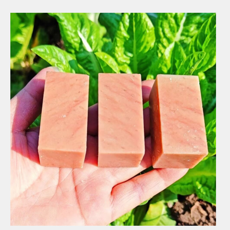 QQ图片20260211000454