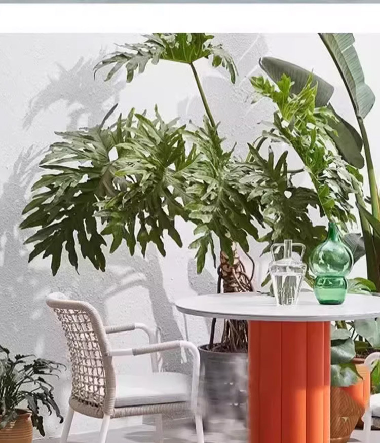 O1CN01uDxoAP2IAj0dlr60P_!!3664