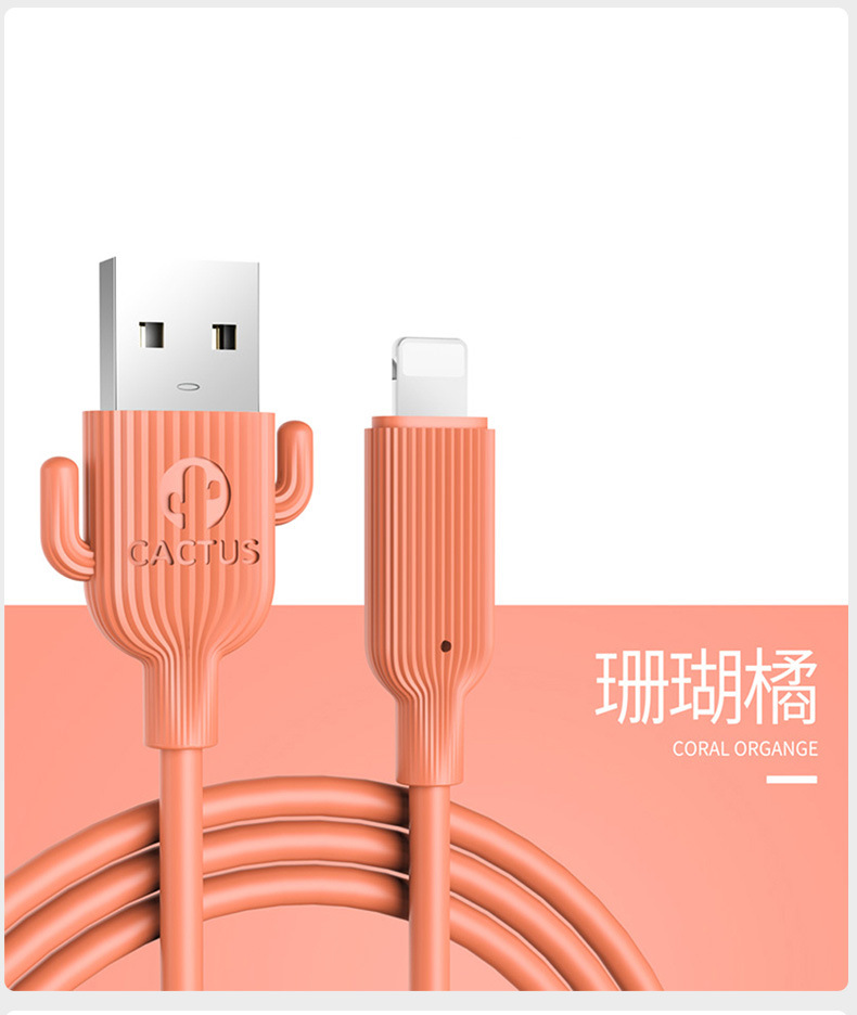 未标题-1_13.jpg