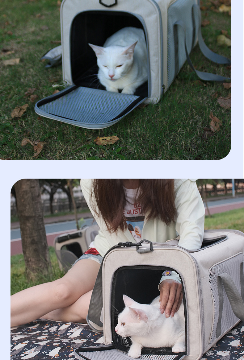 详情_09.jpg