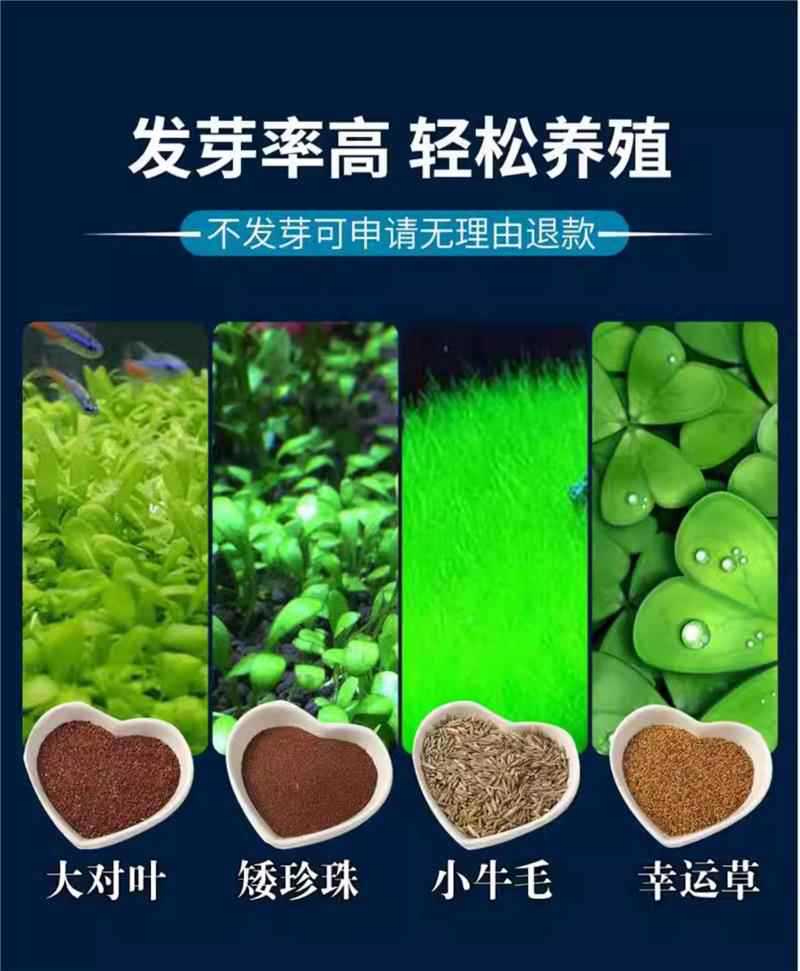 详情图片_8