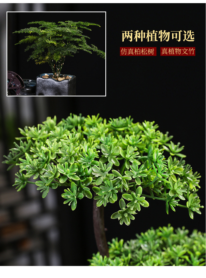 cc7c4d1a-a27b-402a-8d72-db0197da33ce.jpe