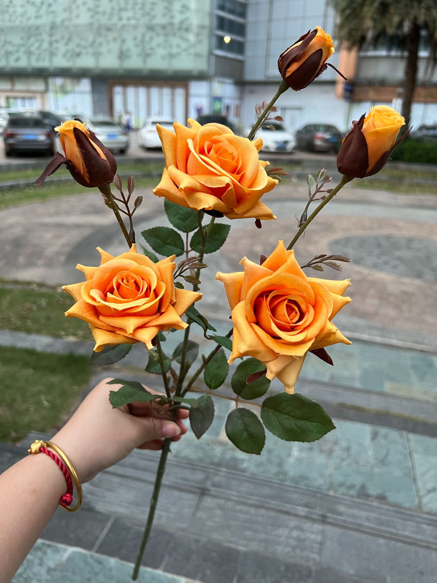 聚美-6头嫣然角玫-详情_23 (11).jpg