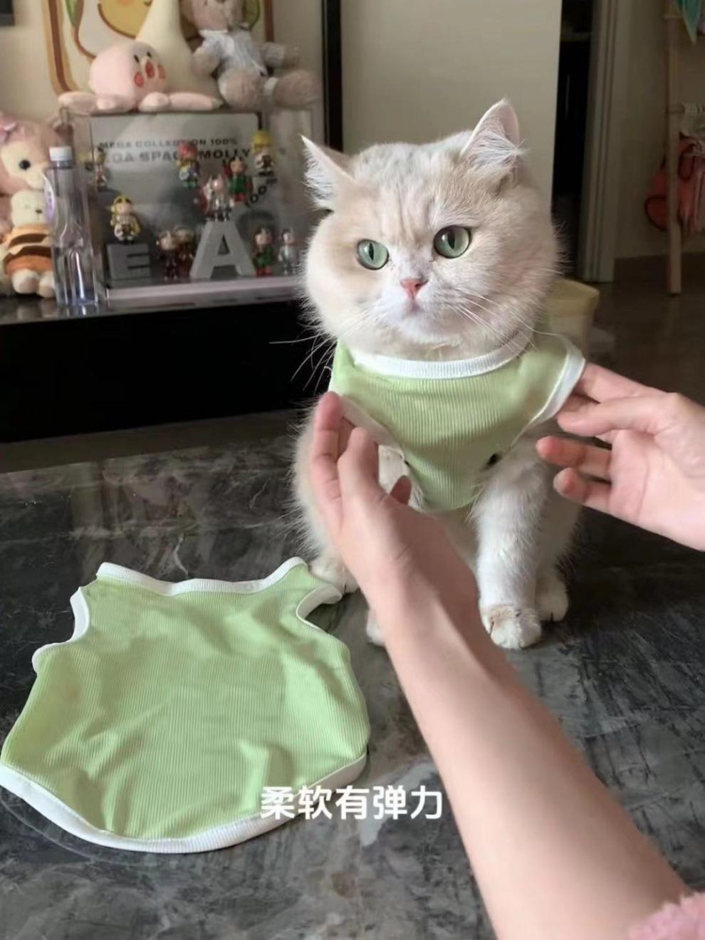 97b12f85-9d37-40cb-8ba9-2e685d465d12.jpe