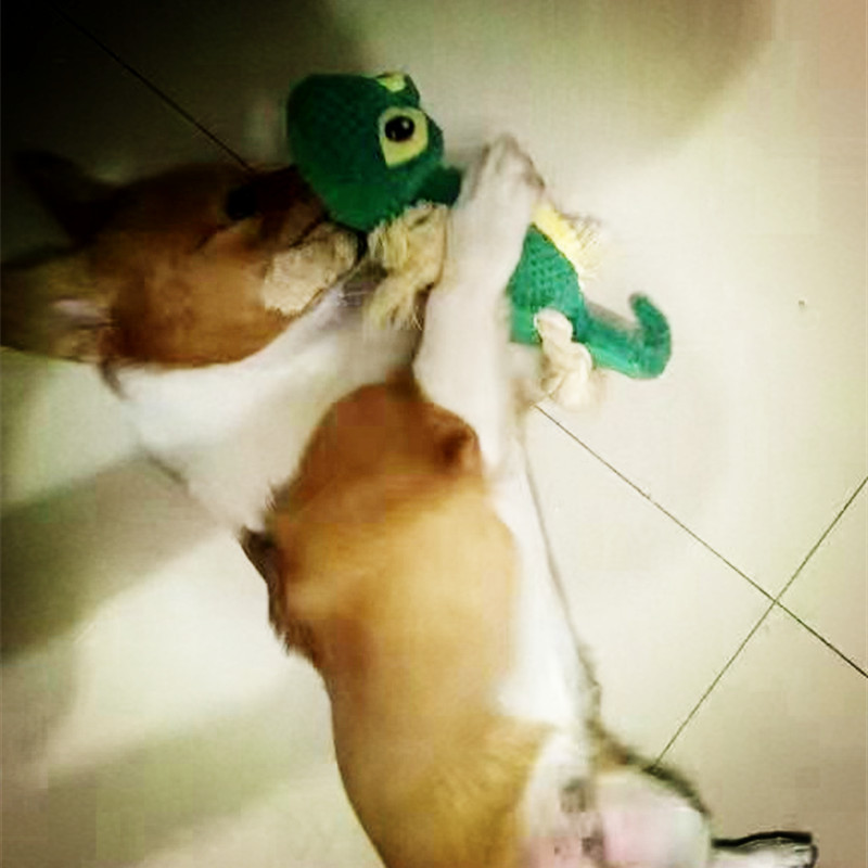 微信图片_20220608184358