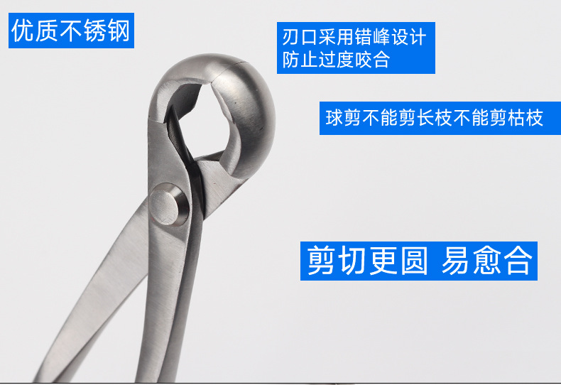 未标题-1_10.jpg