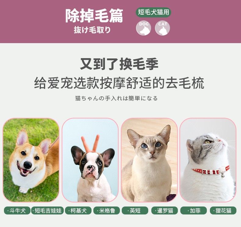 新款粘毛刷详情3