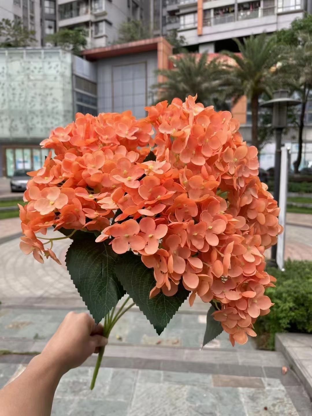 微信图片_20230618143616