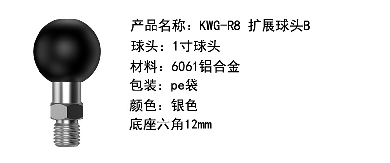 R8详情