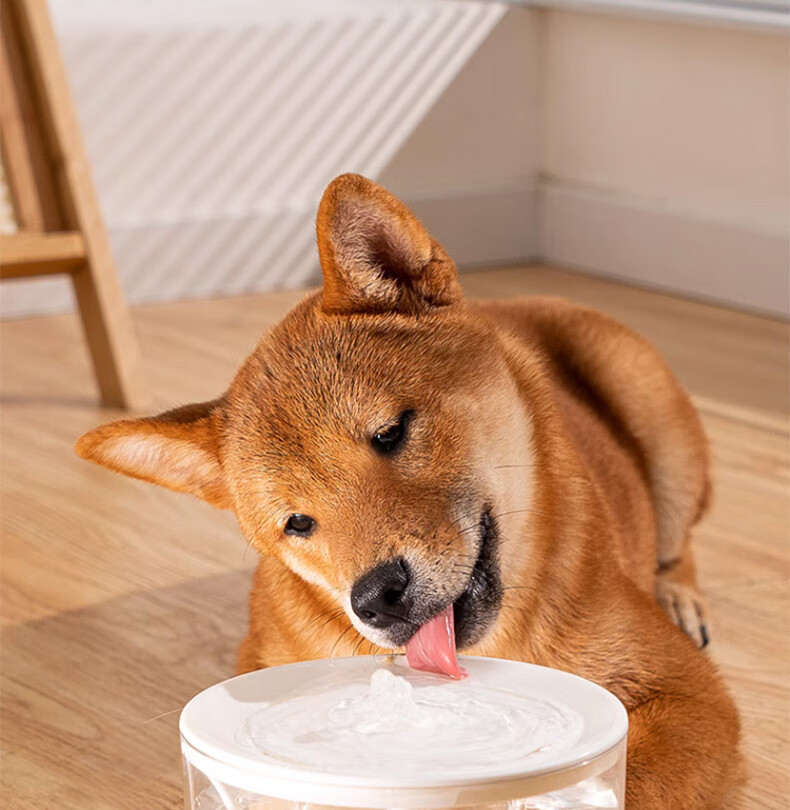 10ee98d3-e475-4818-9bcf-55aaa28384fb.jpe