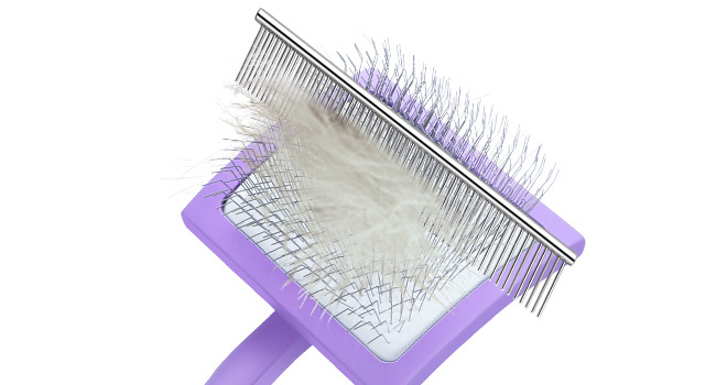 dog brush for shedding long hair