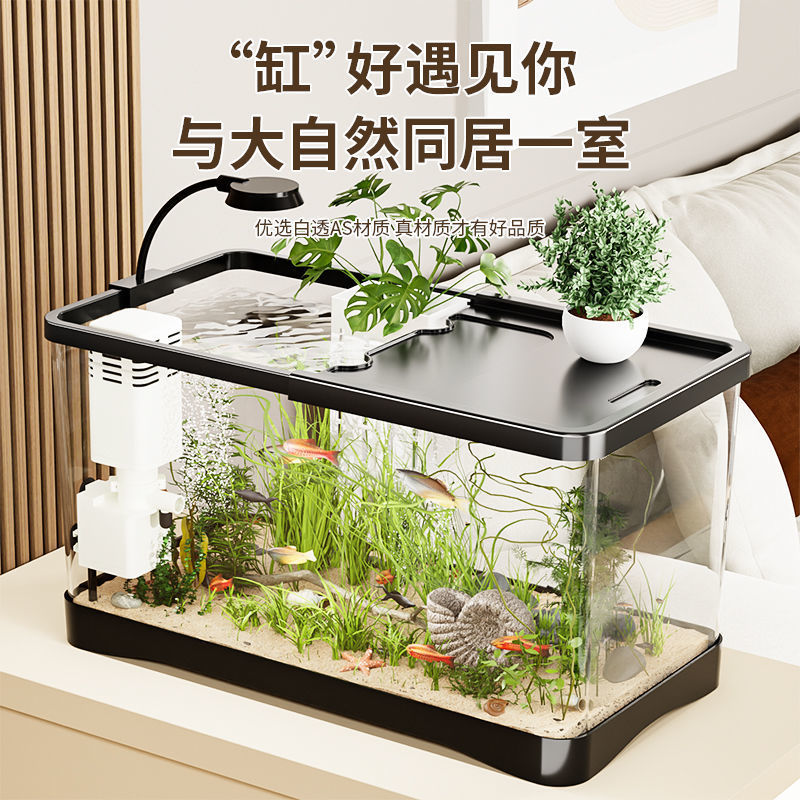 4778d857-a7a0-4732-bf8c-a9ad2452ad26.jpe