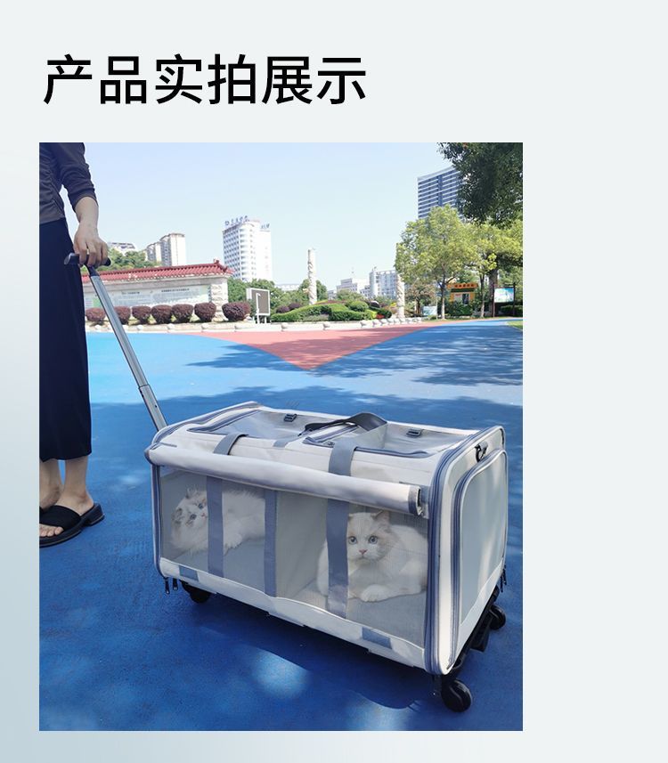 4fc01b6a-2545-4628-990f-caf81e51b498.jpe