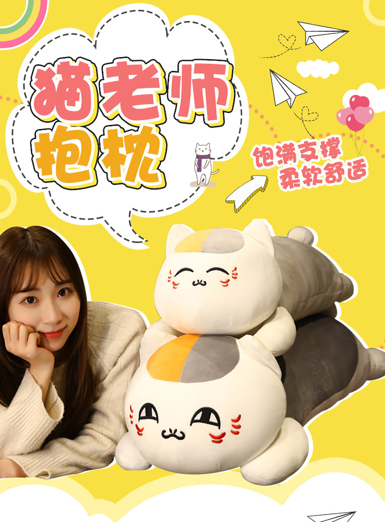 33-毛老师抱枕