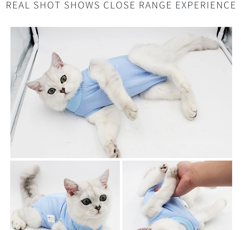 猫用绝育服_13.jpg