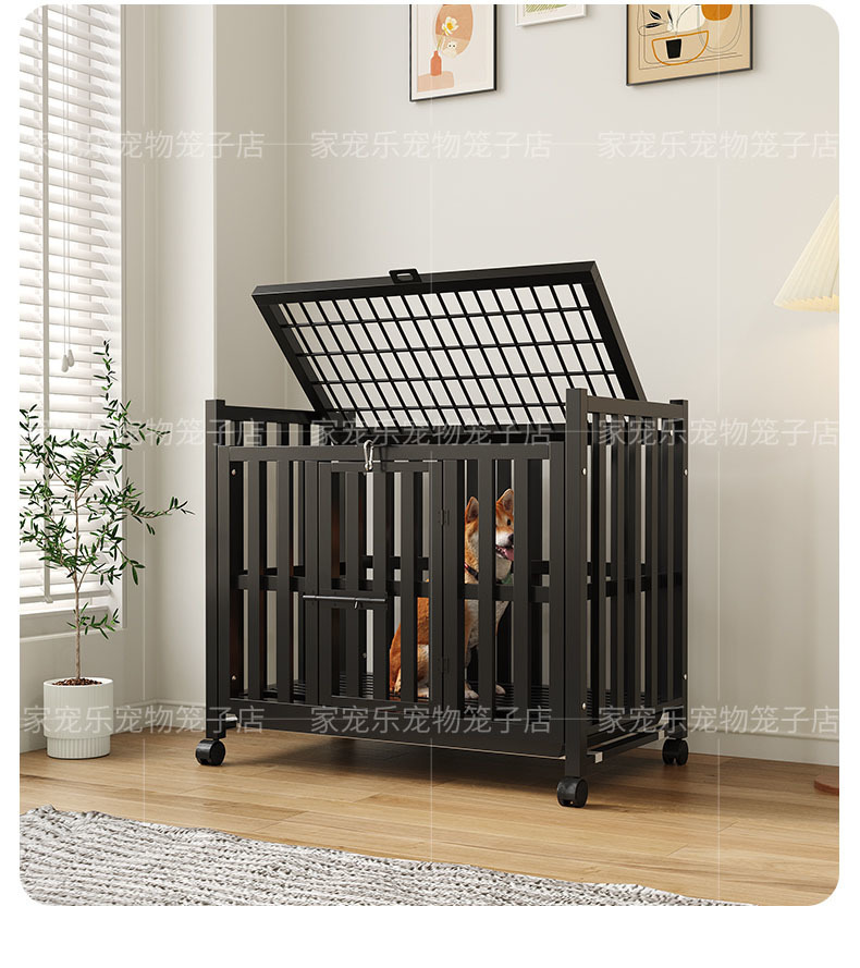 88b9cb21-84ac-46ae-a2a4-4f1a6c56ccb9.jpe