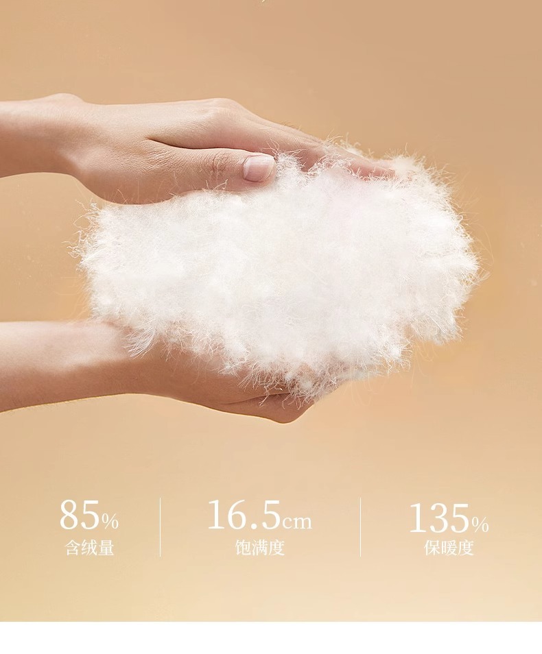 3addbdf1-1320-4698-a8ce-53abc4cad280.jpe