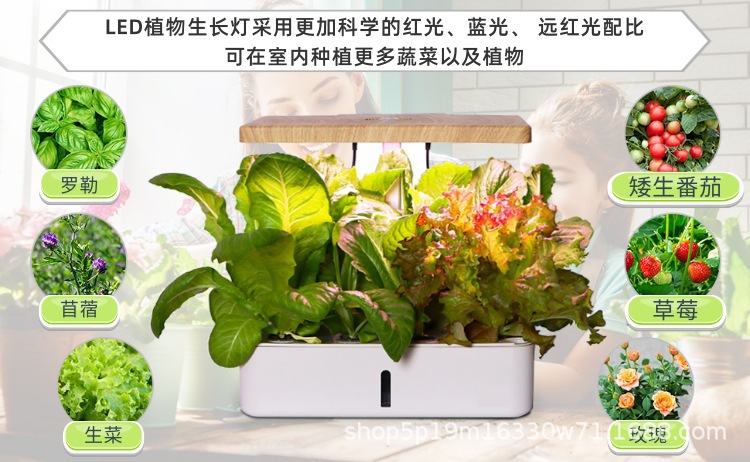 04.jpg?x-oss-process=image/format,png