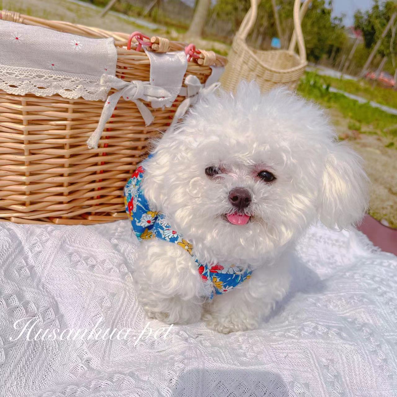 微信图片_20220226212039