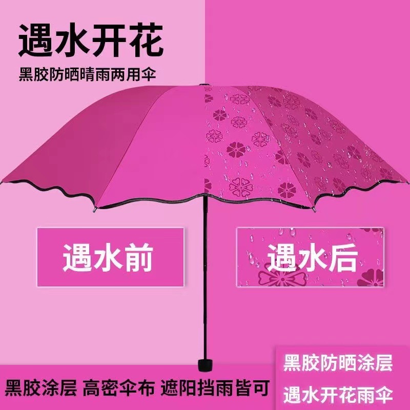 微信图片_20250306233922