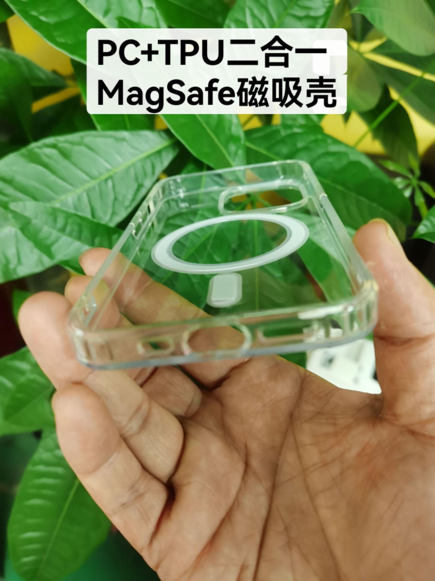 1d808af557624a81747dcd59483201