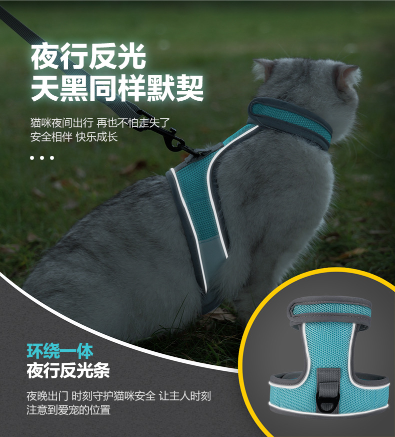 K型猫背带_05.jpg