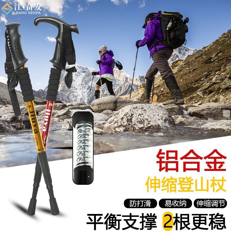 b202ee42-51b3-47f8-bcef-f354a8a5f134.jpe