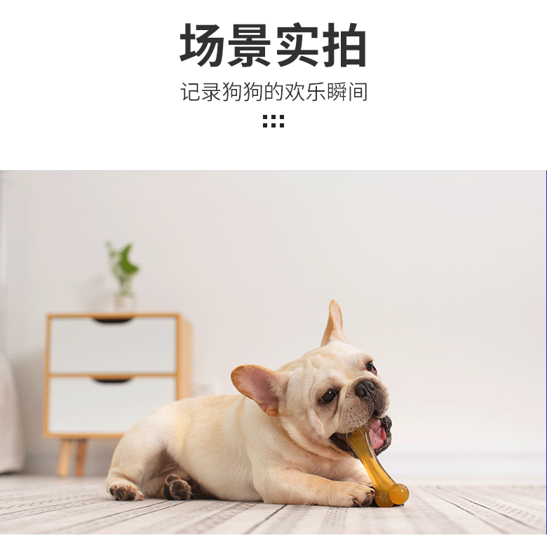 PU仿骨系列_09