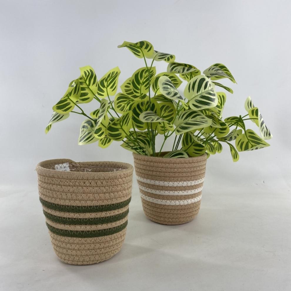 111cc4dc-9d10-43cd-8629-985a9a00f3d5.jpe