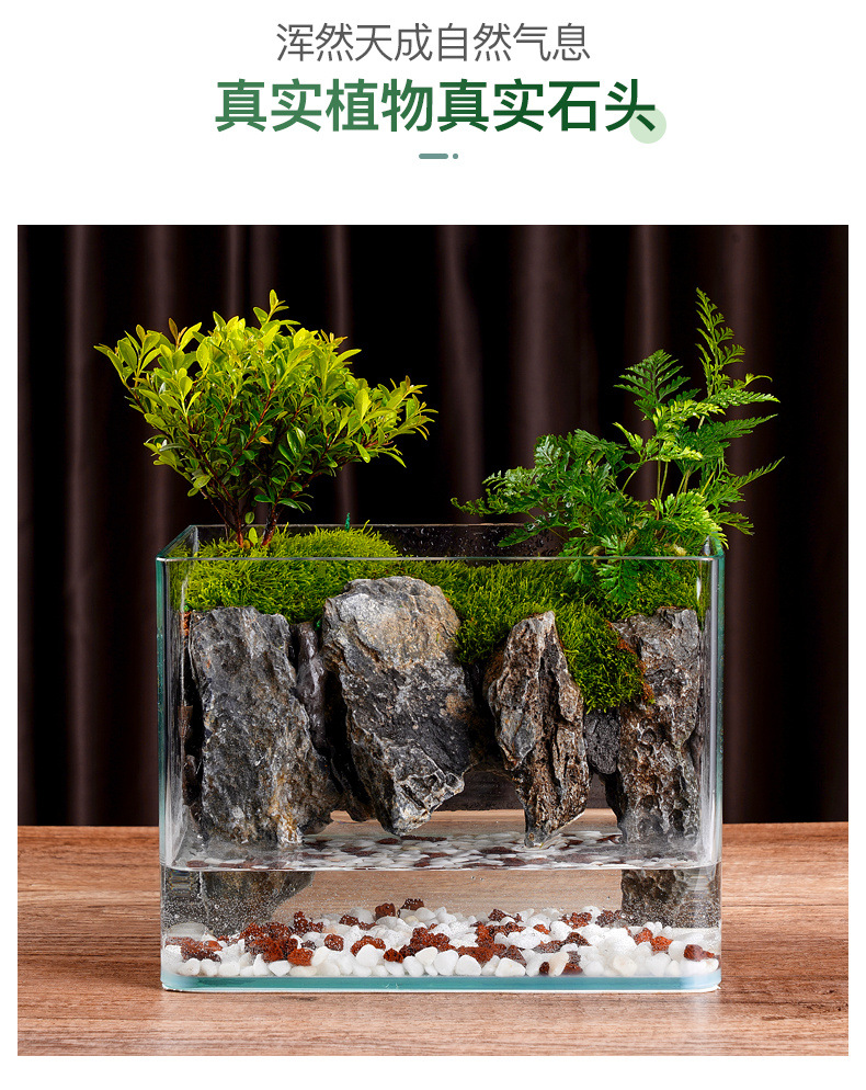 9fda1629-c002-4b4e-ba02-6767ce8a7e6f.jpe