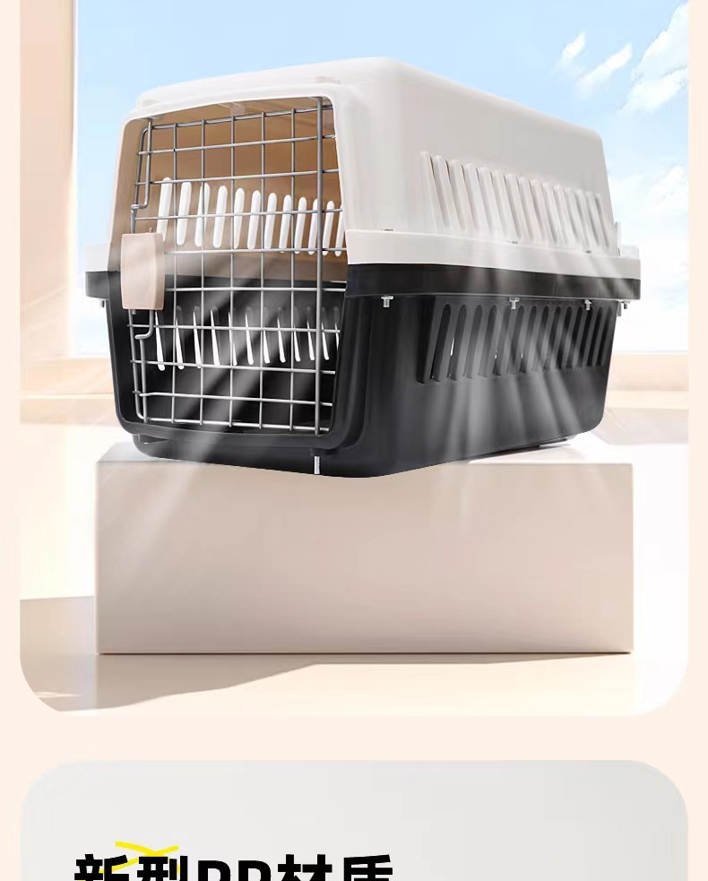 79787665-b0c6-4406-857c-76b182b0fdcc.jpe