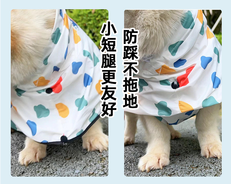 0304cc34-aed0-4248-959d-73e544c9a96c.jpe