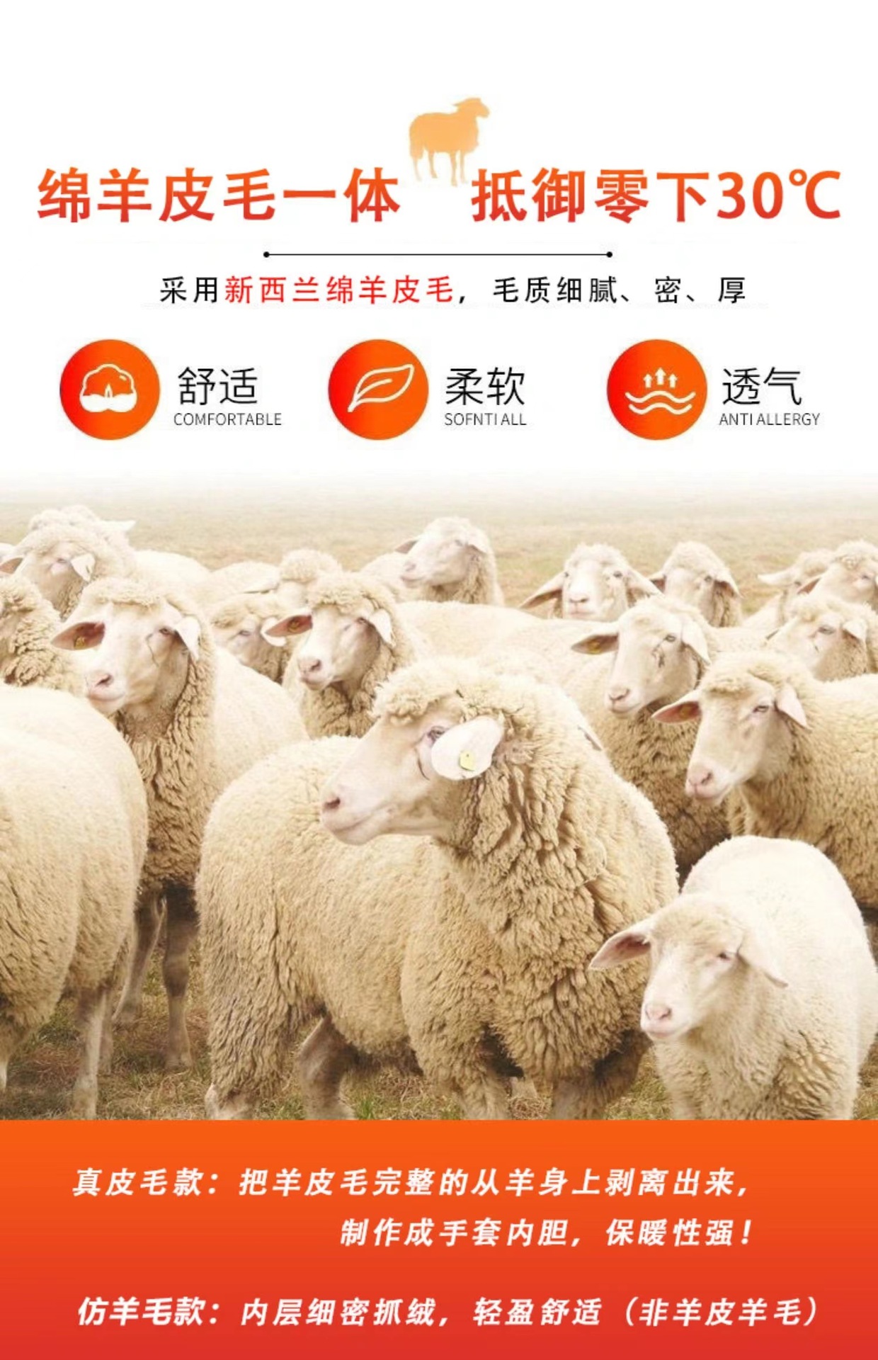 dbb13d1c7942e6383467568fa2cb06