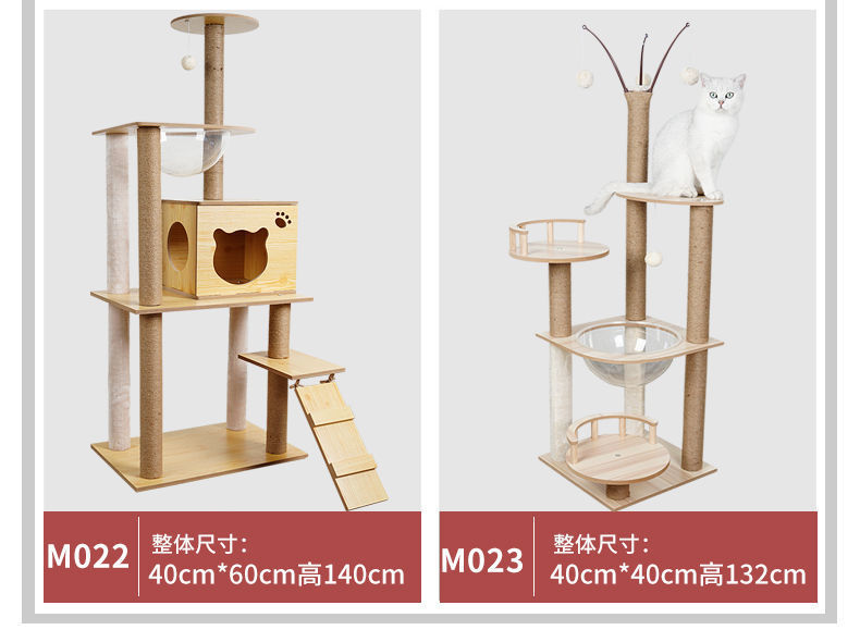 a629a679-44c2-4ffc-a65c-2c7062dbe8cd.jpe