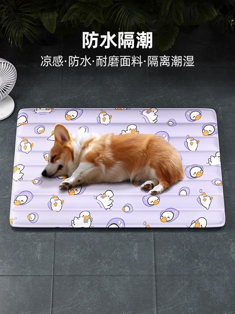 d647fd41-32cb-4dce-8aa8-6064144401a3.jpe