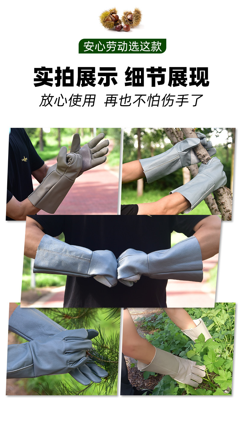 园林_12.jpg