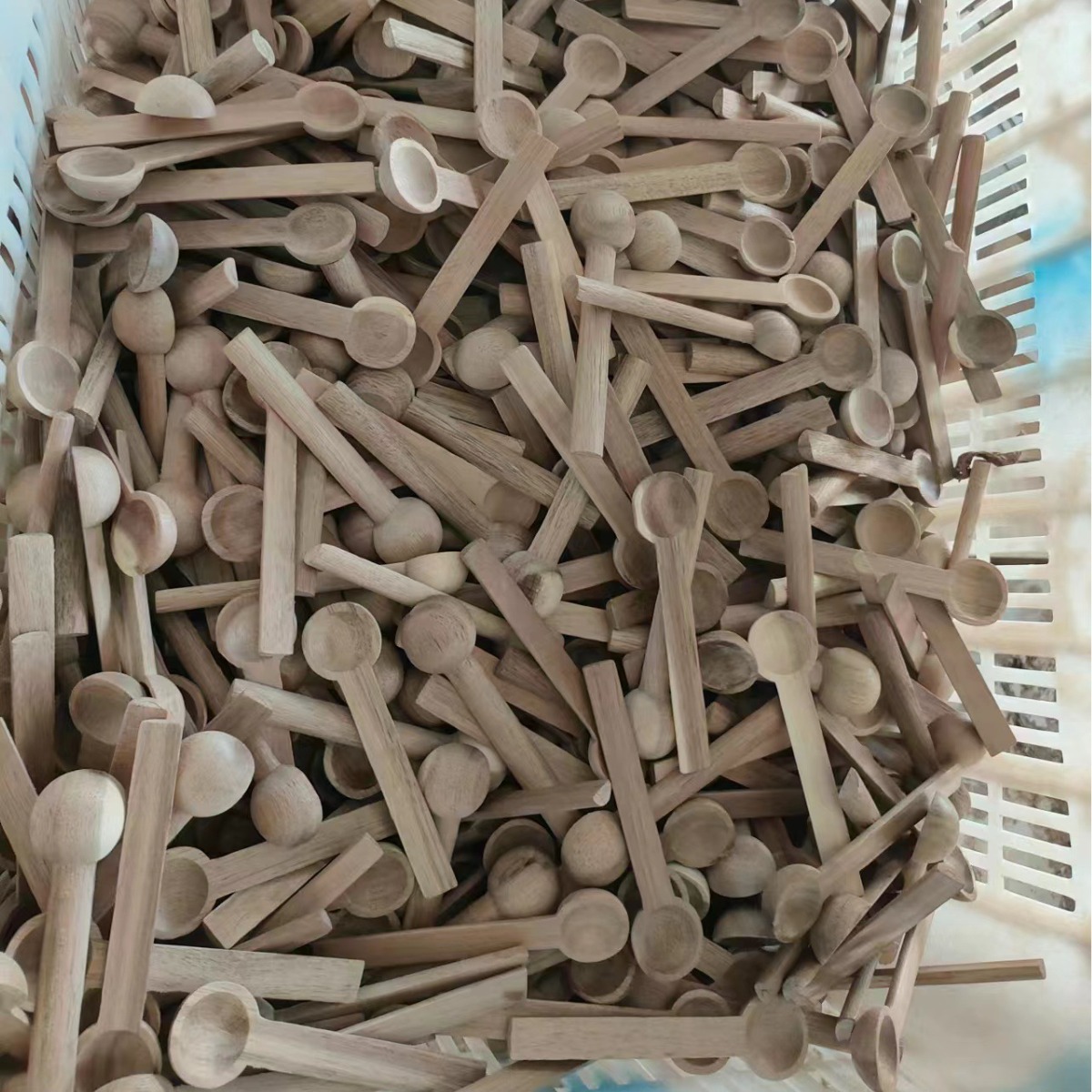 2023-12-08 09:56:15.jpg