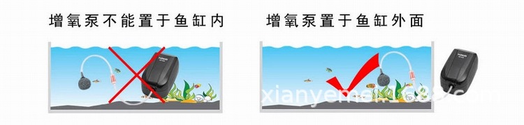 图003