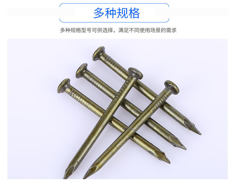 e33ec06c-58c1-43bc-b323-bca69cba7580.jpe