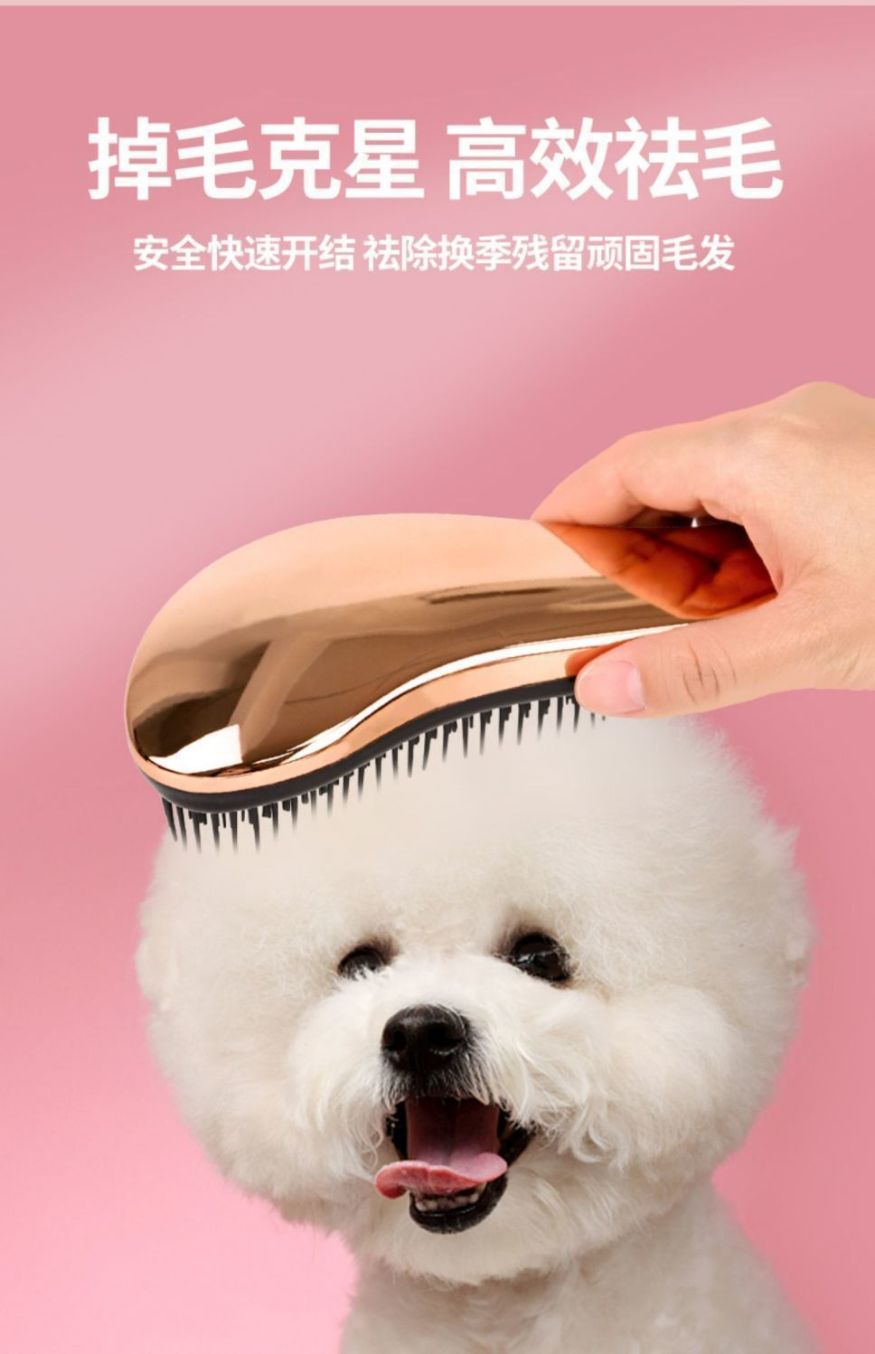 2595daf6-264d-4221-96ad-99c52a9ab43f.jpe