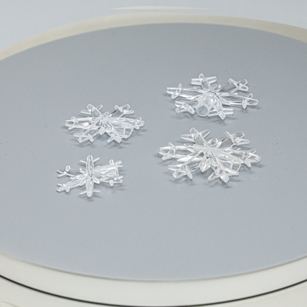 ls中雪花 (13).jpg