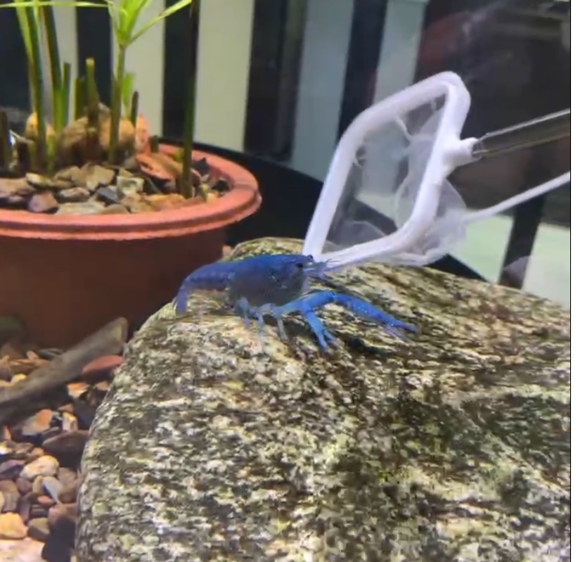 微信图片_20240620165605