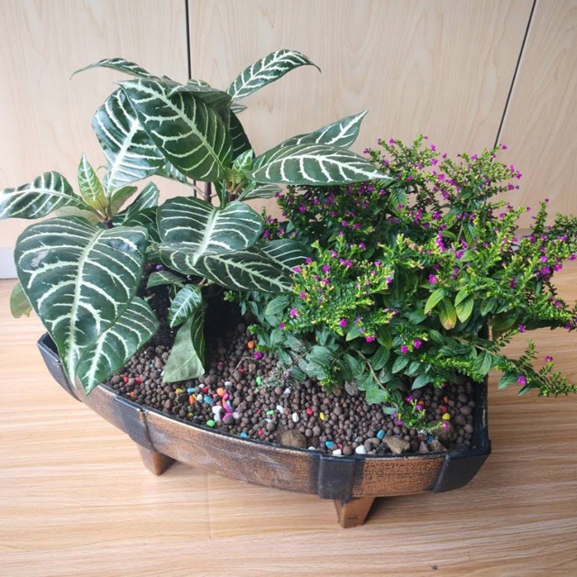 HTB1xw3fa1H2gK0jSZJnq6yT1FXa2