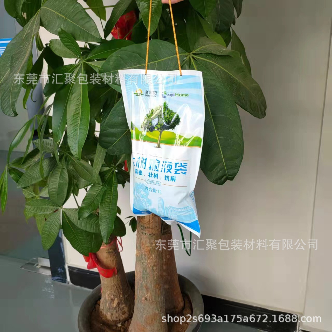 b629d0323279d0a0c4bd25224cded5