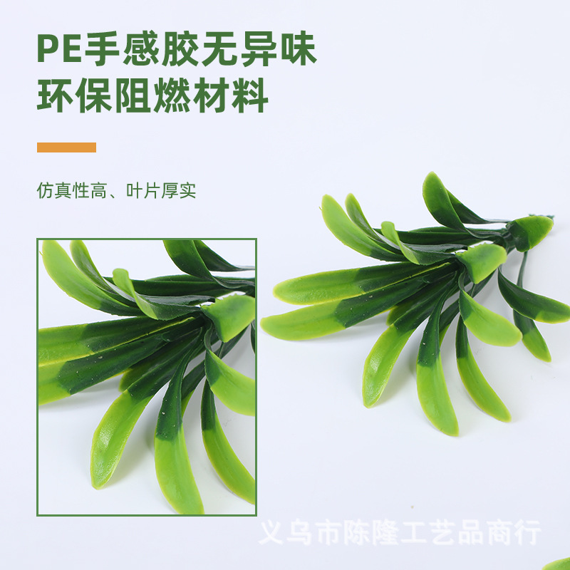 O1CN01NE4ATB1QEP59B5iRU_!!2220