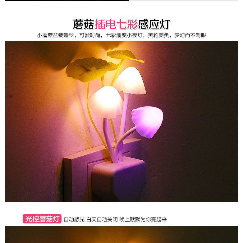 297a281c-7926-4e57-bb9a-333137e9dca8.jpe