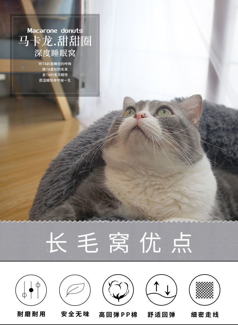 80ed6963-0c15-40c9-89c3-9522857902e1.jpe