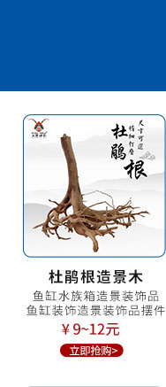 三利关联营销_01